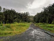 Trailhead and parking