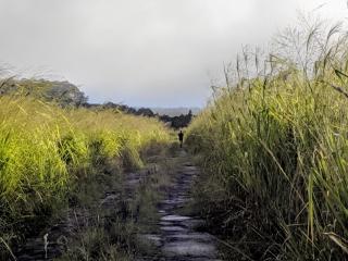 C running up the two-track towards the trailhead