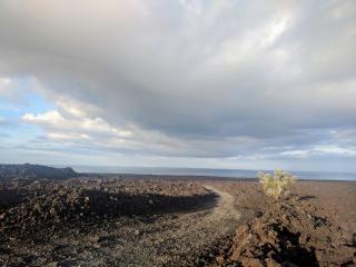 Manuka Bay Access Road