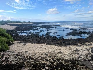 Manuka Bay with white coral and black lava