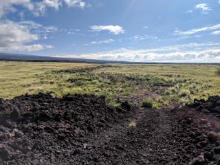 Trail heads into vegetation and gets confusing