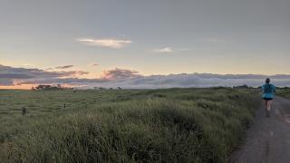 C running near sunset