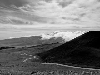 Looking towards the road