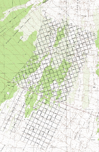 Ocean View's Enormous Grid