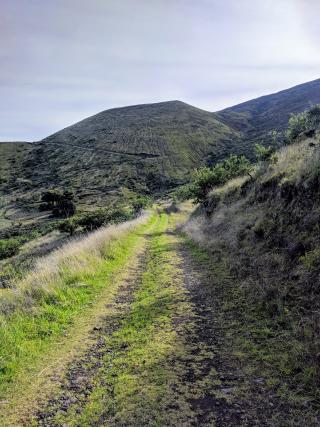 Switchbacks out of Pu'u Mali