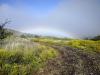 A low rainbow over Hamakua