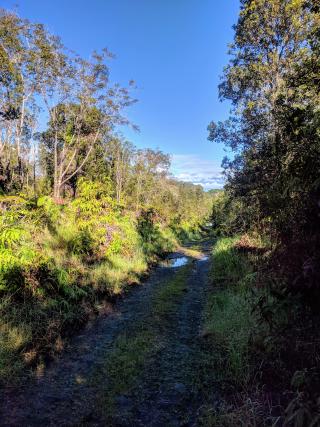 Reflective pools dot the path as it drops into the distance