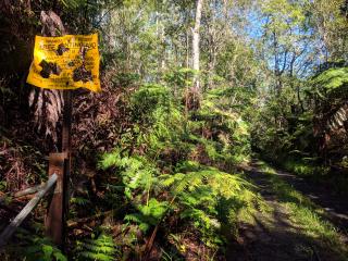 A well shot sign marker near the Stainback end